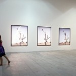 выставка современного искусства Дары