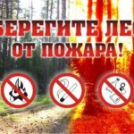 Уберечь леса Московской области от пожара.