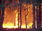 В Забайкалье сильно увеличилось количество пожаров